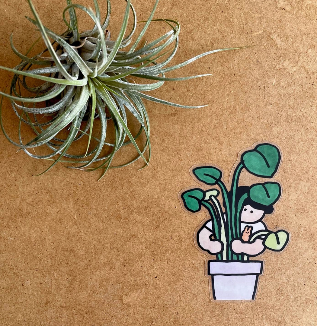 Launch Day Collection