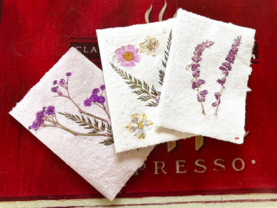 Handmade Paper Greeting Card with Pressed Flower - Blank