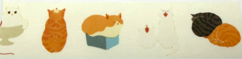 RYU-RYU Clear Plastic Tape